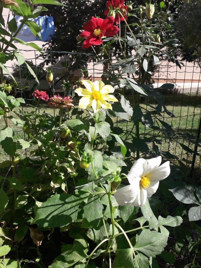 Apartman Mona Mostar Dış mekan fotoğraf